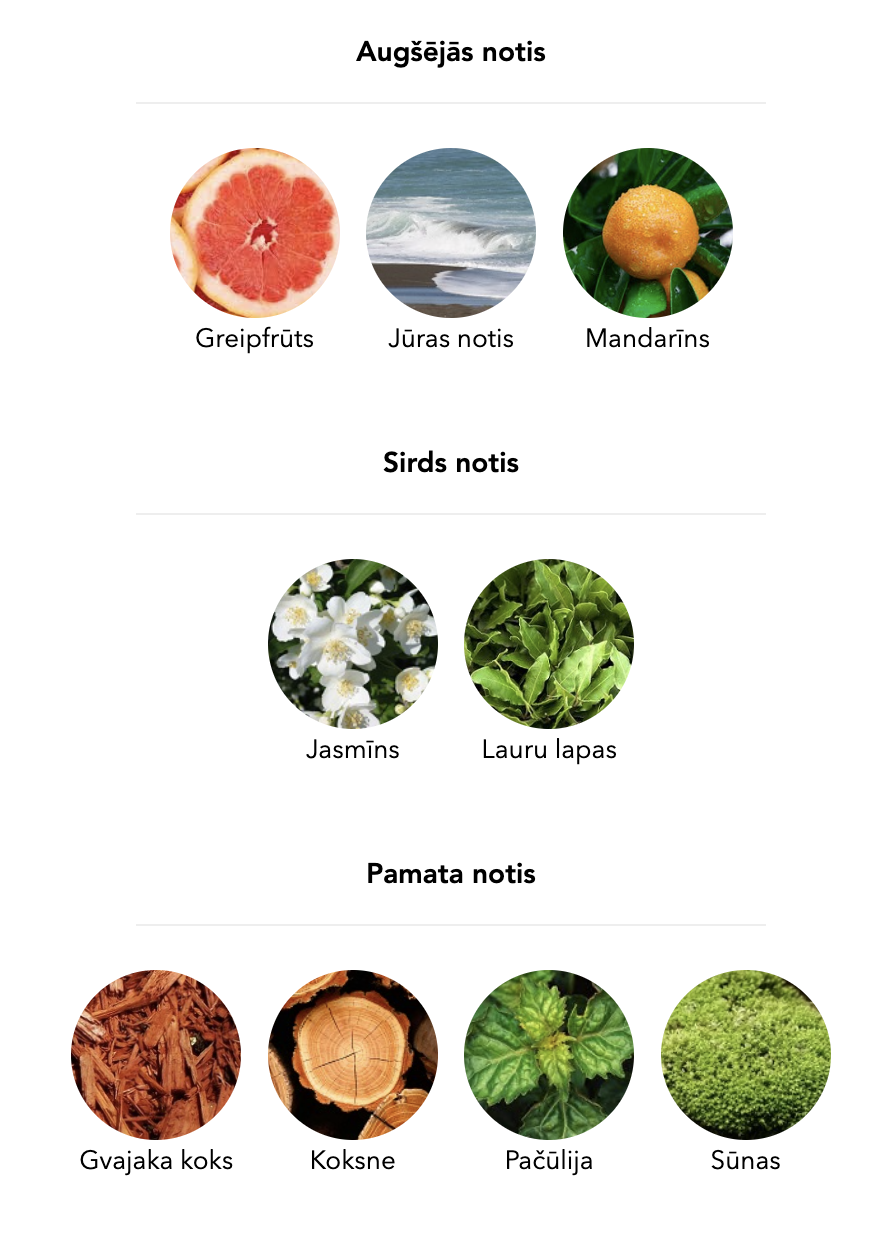 Chogan vīriešu smaržas nr. 61 kompozīcija