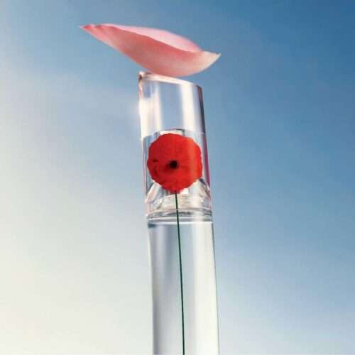 Buy online at Grezni.lv shop – worldwide delivery