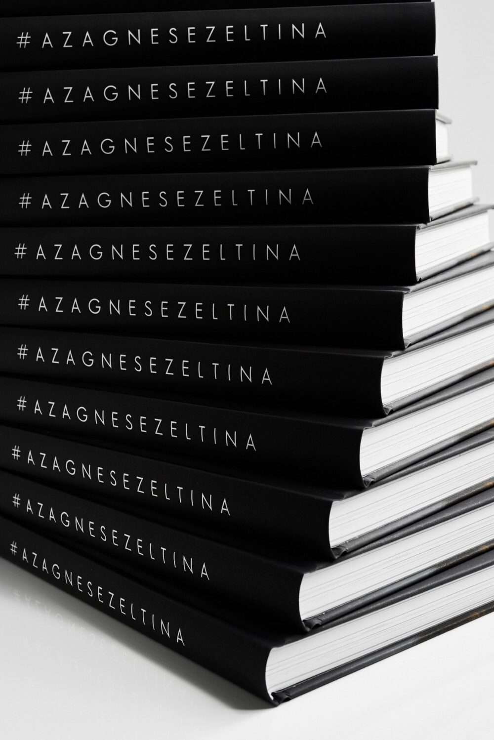 Grāmata "Agnese Zeltiņa. A-Z" ar personīgu novēlējumu un parakstu no autores - Image 4
