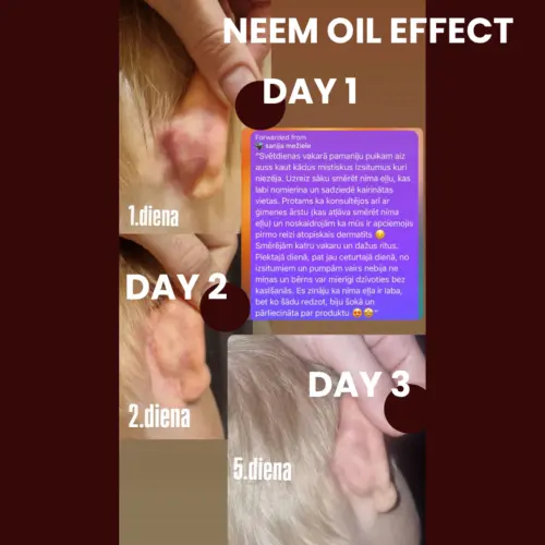 EFECCT FROM NEEM OIL NĪMA EĻĻAS EFEKTS GREZNI VL