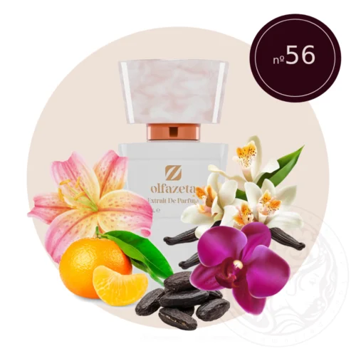 56 - Chogan perfume Olfazeta smaržas Light and Dark 70ml