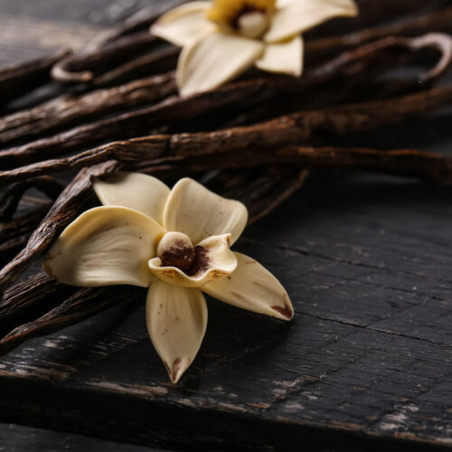 Eternal Love For Him Olfazeta Perfume 162