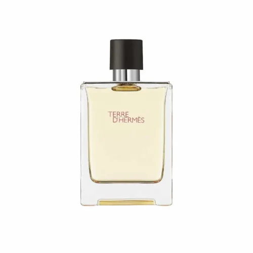 Hermes Terre D'Hermes Eau De Toilette Spray 100ml