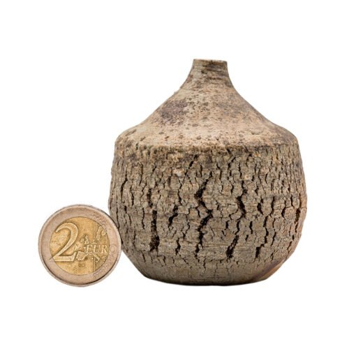 Woodfired Dehua Gourd Cup # 95821, 0 ml